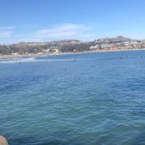 Meet your Posher, Lucy